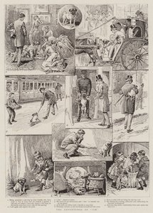 Die Abenteuer von Jim